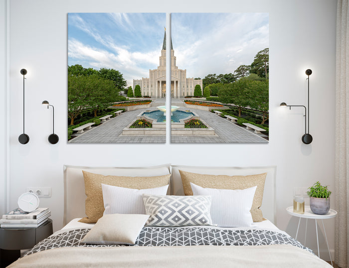Houston Canvas Print #9071