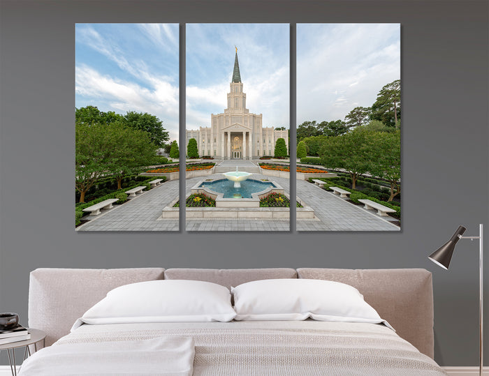 Houston Canvas Print #9071