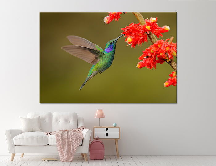Hummingbird Drinking Nectar Canvas Print #8058