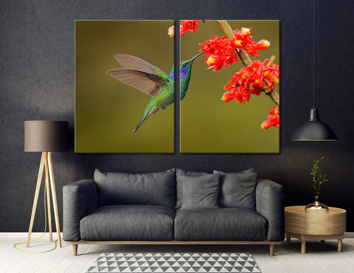 Hummingbird Drinking Nectar Canvas Print #8058