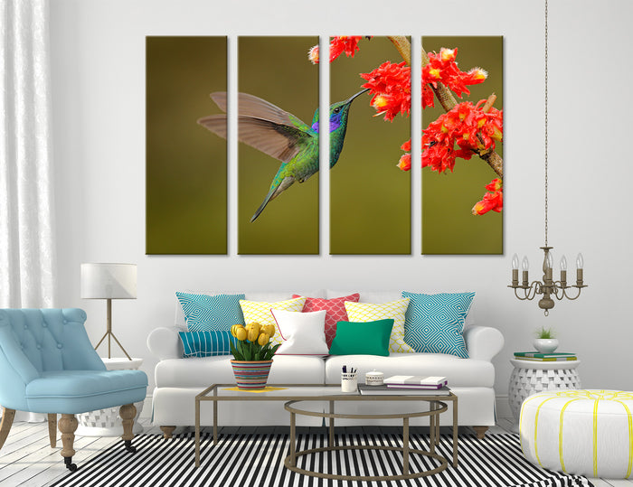 Hummingbird Drinking Nectar Canvas Print #8058