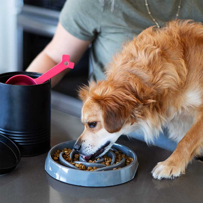 Dog eating out of Interactive Slow Feeder