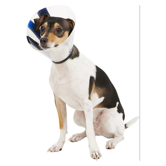 KONG EZ Clear E-Collar for Dogs & Cats