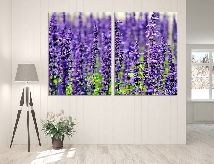 Lavender Canvas Print #7546