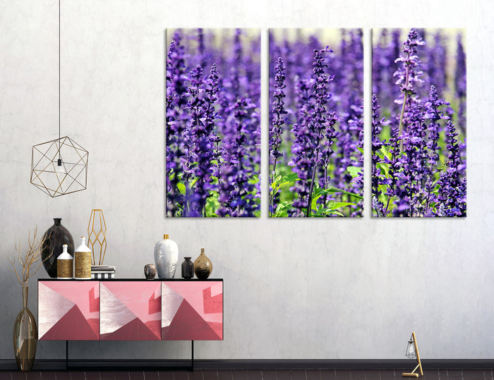 Lavender Canvas Print #7546