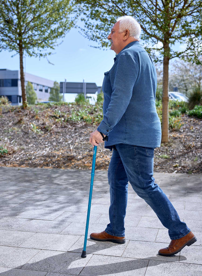 Liberty Folding Walking Stick