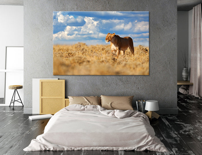 Lioness Canvas Print #8052