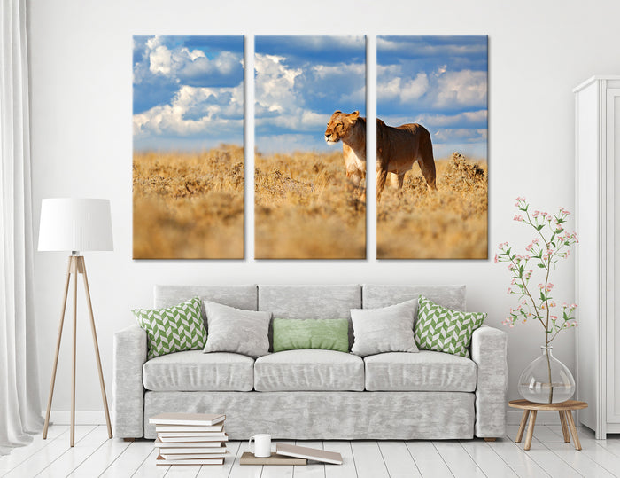 Lioness Canvas Print #8052