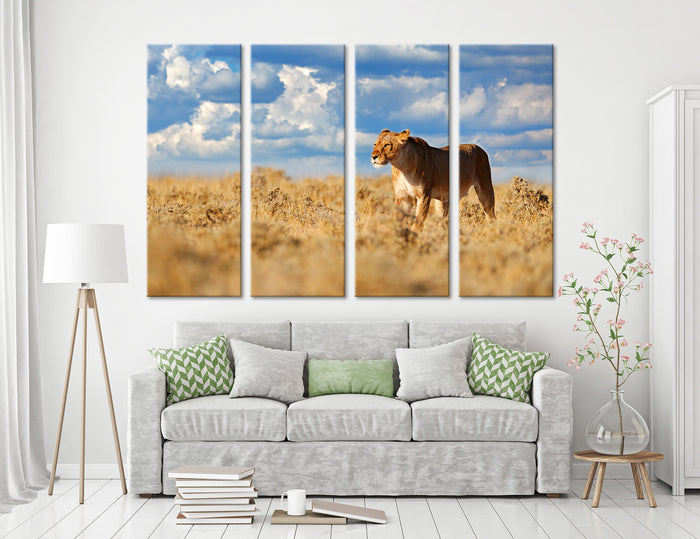 Lioness Canvas Print #8052