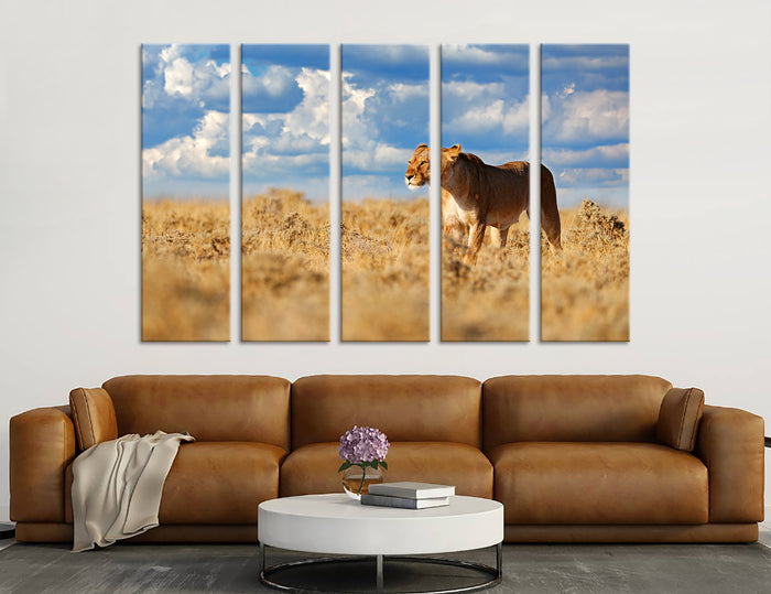 Lioness Canvas Print #8052