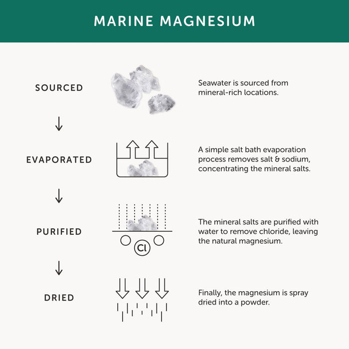 Magnesium Supplement – 30 Capsules