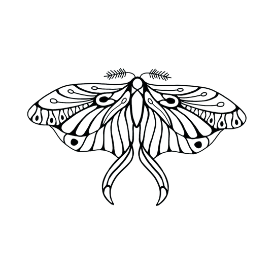 Mod Black Butterfly Tattoo Pair