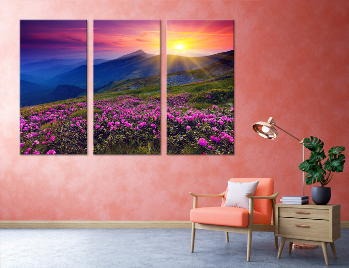 Mountain Sunrise Canvas Print #7029