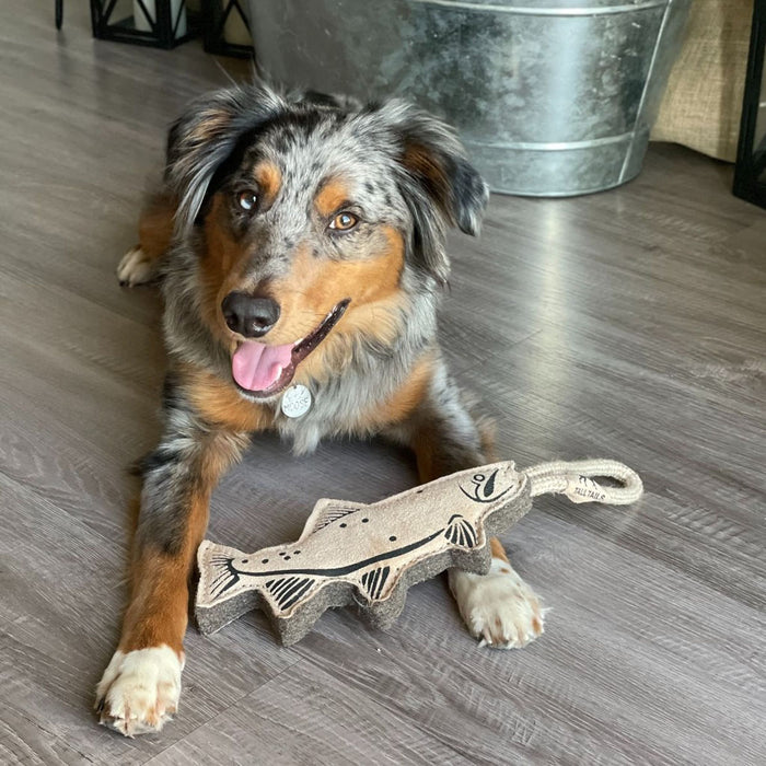 Dog playing with Natural Leather & Wool Trout Tug Toy 16"