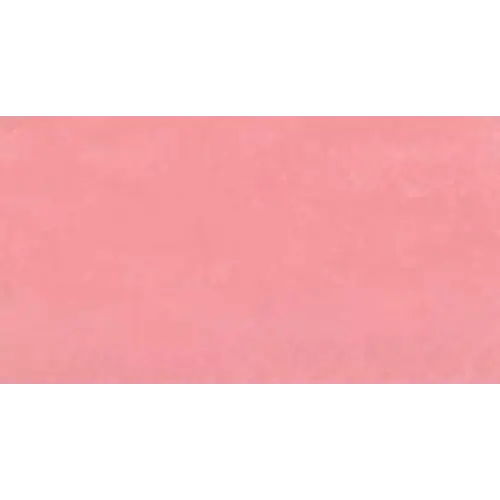 Blush Rose