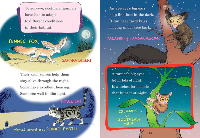 Out of Sight Till Tonight! : All About Nocturnal Animals