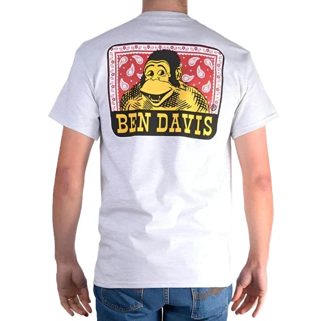 Ben Davis paisley logo t-shirt in ash grey, rear view of the print