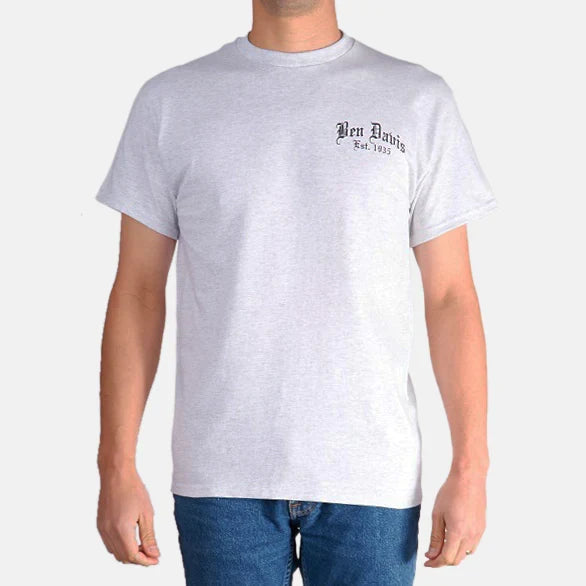Ben Davis paisley logo t-shirt in ash grey, front view, big and tall sizing
