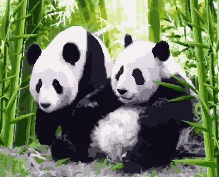 Pandas Paint by Numbers