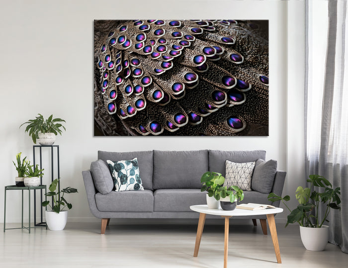 Peacock Feathers Canvas Print #8035