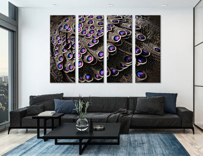 Peacock Feathers Canvas Print #8035