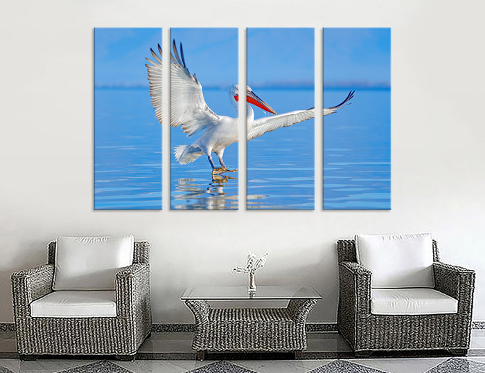 Pelican Canvas Print #8047