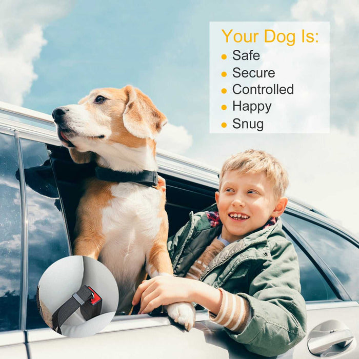 dog safety belt for car