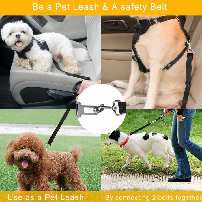 Pet car leash clips into seat buckle