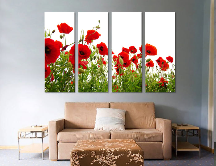 Poppy Field Canvas Print