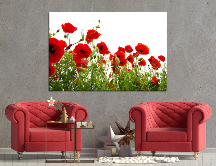 Poppy Field Canvas Print #7524