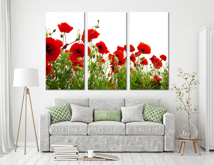 Poppy Canvas Print