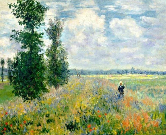 Poppy Fields Paint by Numbers
