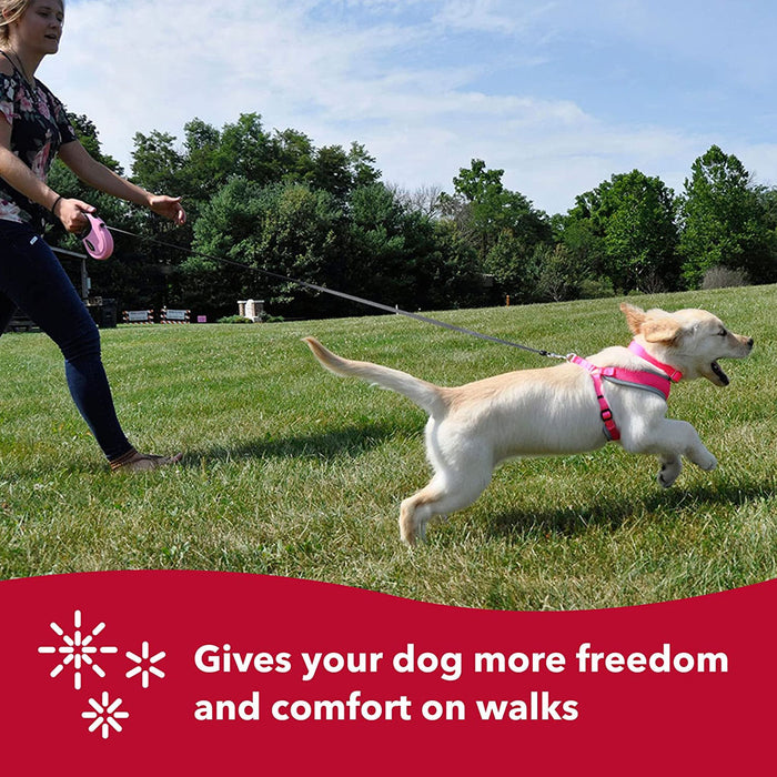 Power Walker Retractable Leash