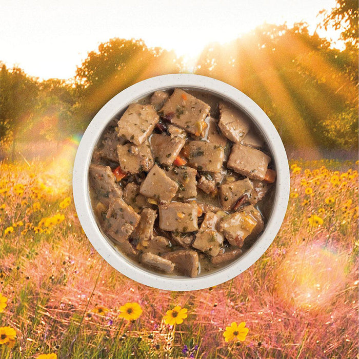 Premium Chunks Duck in Bone Broth Canned Food for Dogs 12.8oz