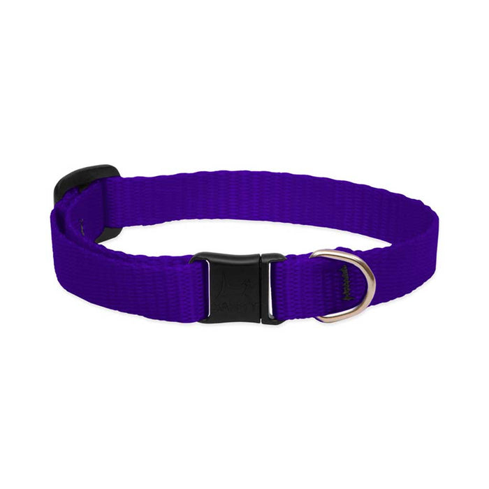 Purple Breakaway Collar