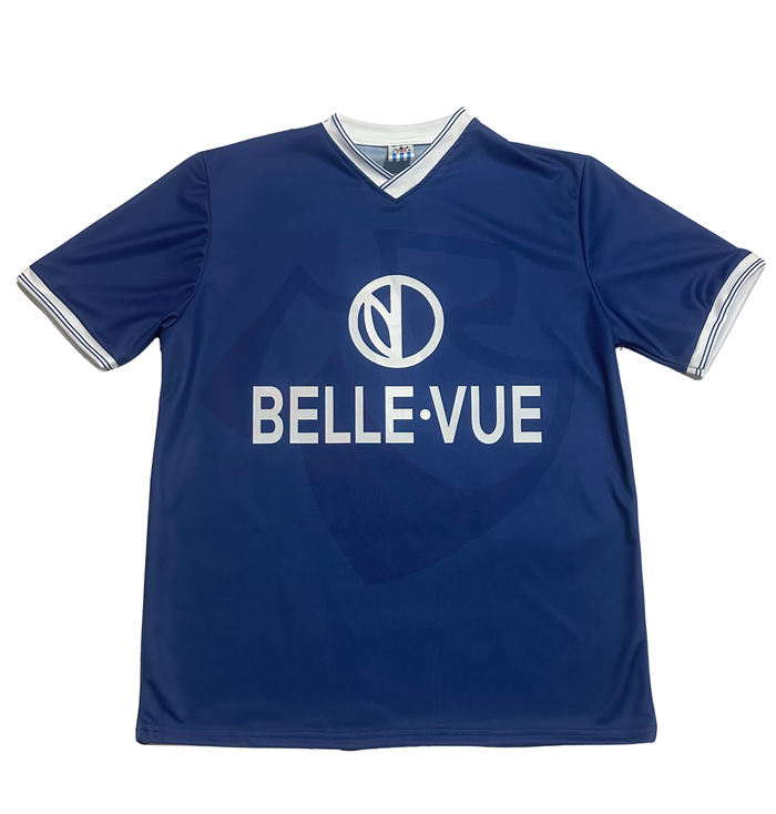 RSC Anderlecht Shirt 1973-1974 Away - Retro Jerseys, RSC Anderlecht Retro Shirt