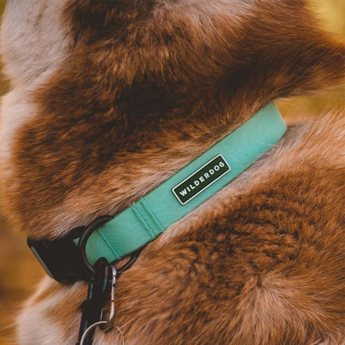 Seafoam Waterproof Collar