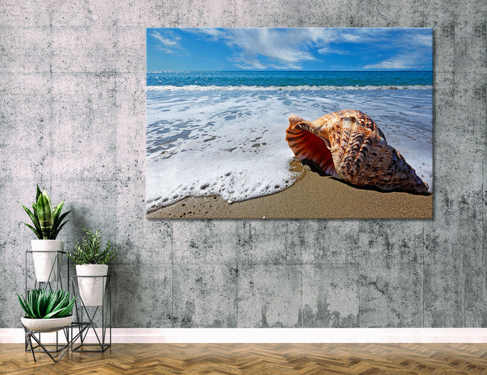 Shell Canvas Print #7177
