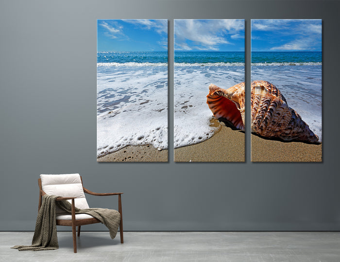 Shell Canvas Print #7177