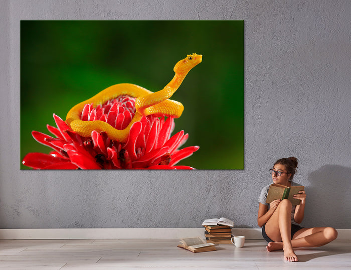 Snake Canvas Print #8030