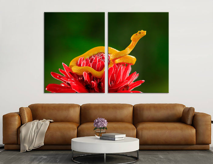 Snake Canvas Print #8030