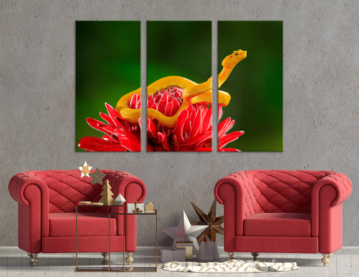 Snake Canvas Print #8030