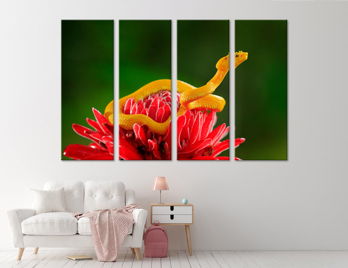 Snake Canvas Print #8030