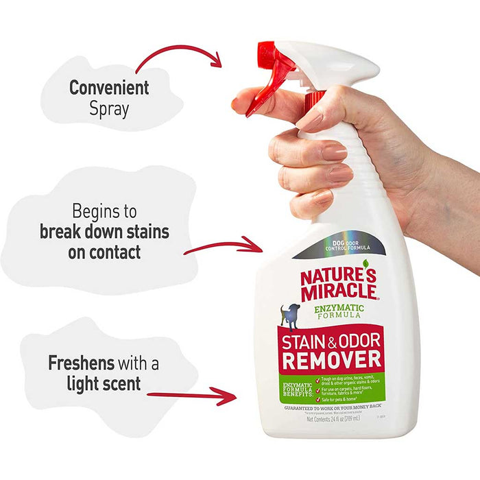 Stain & Odor Remover for Dogs 32oz