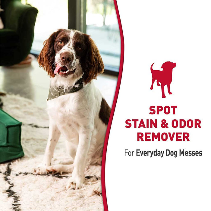 Stain & Odor Remover for Dogs 32oz