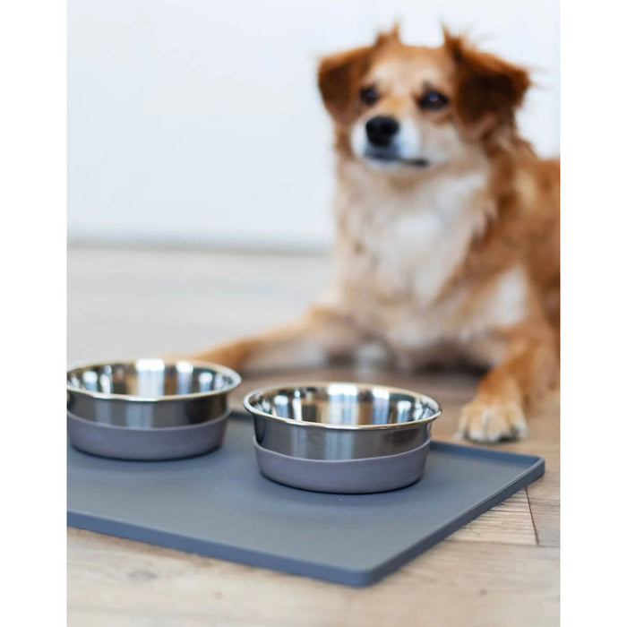 Stainless Steel Bowl with Removable Silicone Base