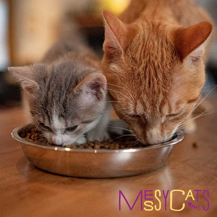 Stainless Steel Cat Saucer 1.75 cups