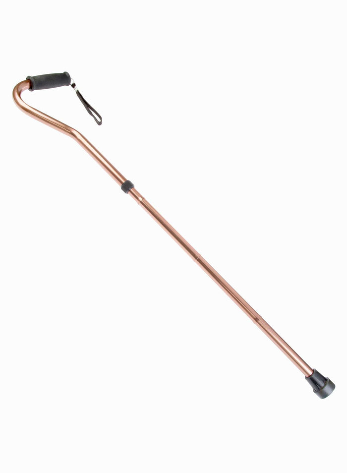 Swan Cane
