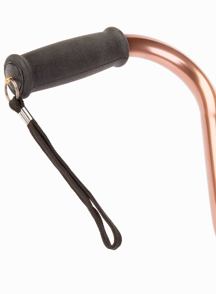 Swan Cane