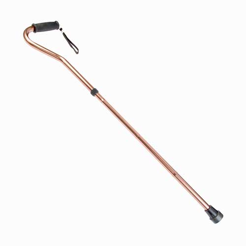 Swan Cane